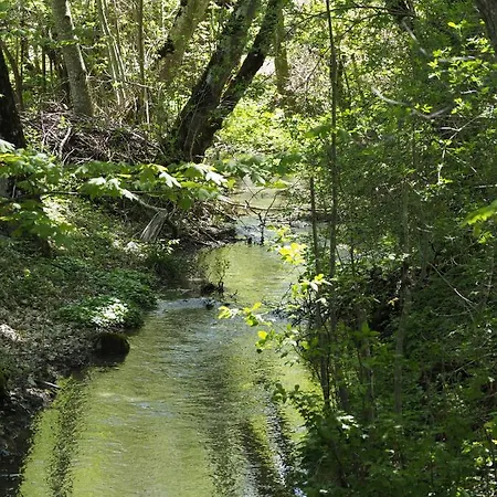 Apartment Boulder, Wandern, Naturpark, Berge Geniessen Und Mit Rabatt Ins Mineralbad Andeer