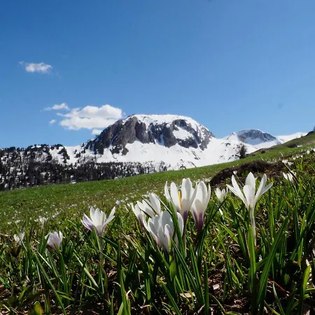 Boulder, Wandern, Naturpark, Berge Geniessen Und Mit Rabatt Ins Mineralbad Apartment Andeer