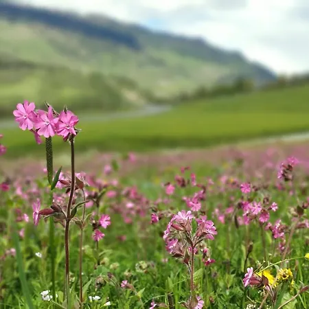 Apartment Boulder, Wandern, Naturpark, Berge Geniessen Und Mit Rabatt Ins Mineralbad