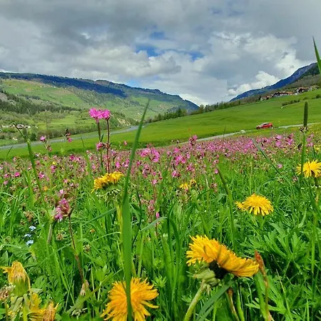 Boulder, Wandern, Naturpark, Berge Geniessen Und Mit Rabatt Ins Mineralbad Apartment Andeer