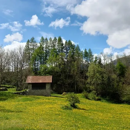 Boulder, Wandern, Naturpark, Berge Geniessen Und Mit Rabatt Ins Mineralbad Apartment Andeer